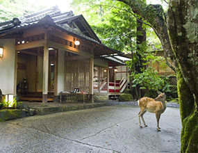 奈良・春日奥山　月日亭