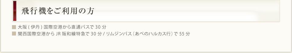 飛行機をご利用の方