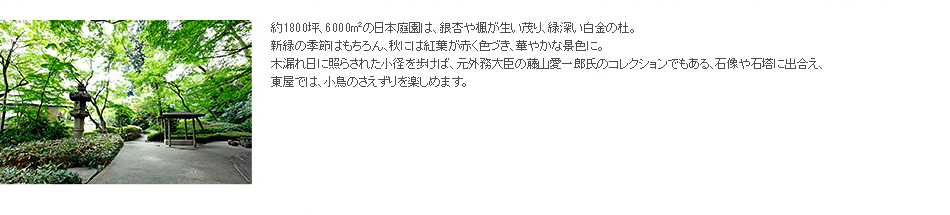 約1800坪、6000平方メートルの日本庭園は、銀杏や楓が生い茂り、緑深い白金の杜。新緑の季節はもちろん、秋には紅葉が赤く色づき、華やかな景色に。木漏れ日に照らされた小径を歩けば、元外務大臣の藤山愛一郎氏のコレクションでもある、石像や石塔に出合え、東屋では、小鳥のさえずりを楽しめます。