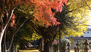 積田神社