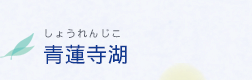 青蓮寺湖 しょうれんじこ | 名張市人気観光No.3