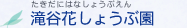 滝谷花しょうぶ園 たきだにはなしょうぶえん