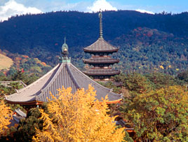 Koufuku-ji Temple