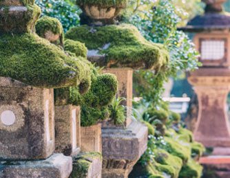 写真：たくさん並んだ石灯篭