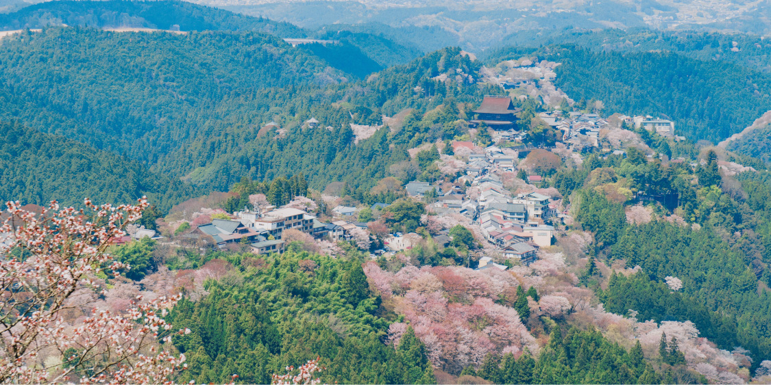写真：桜の咲く、春の奈良