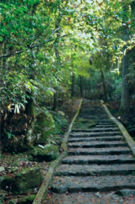 写真：緑生い茂る山の中にある石階段